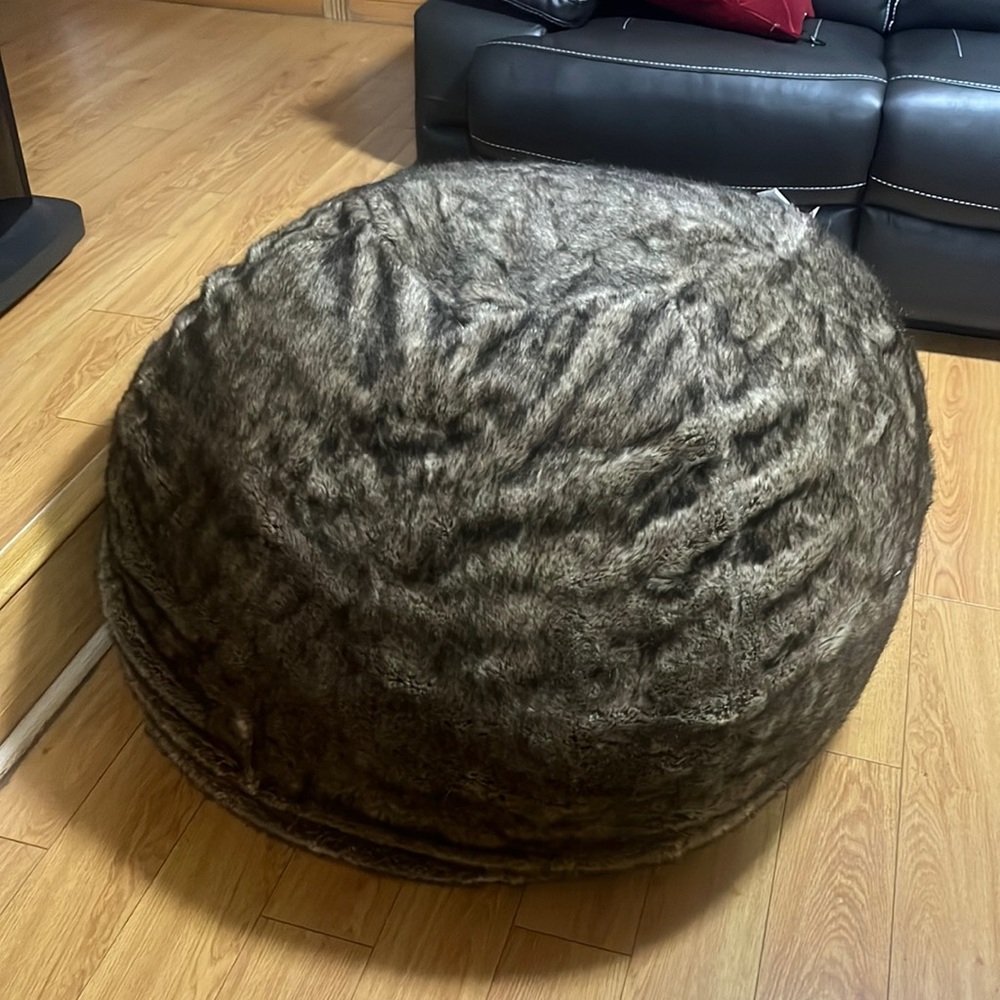 Fuzzy Bean bag
